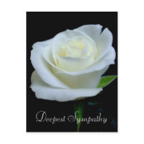 Deepest Sympathy Postcard