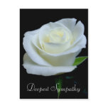 Deepest Sympathy Postcard