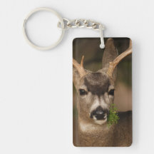 deer acrylic key chains