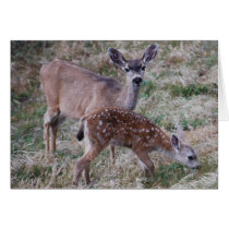 Deer and Fawn Card by dlgray Deer and Fawn Card