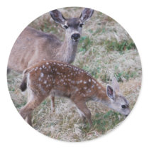 Deer and fawn Sticker