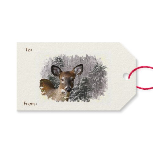 Deer and Frosty Hills Pack of Gift Tags