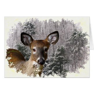 Deer and Frosty Hills Seasons Greeting Card