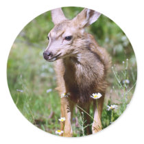 Deer - Angry Deer Round Stickers