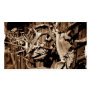 Deer Antlers Business Card Templates