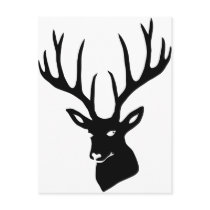 Deer antlers deer antlers game moose deer steam tu post card