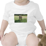 Deer are so sweet baby bodysuits