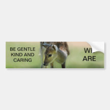 Deer are so sweet bumper stickers