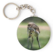 Deer are so sweet key chains