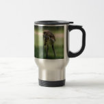Deer are so sweet mug