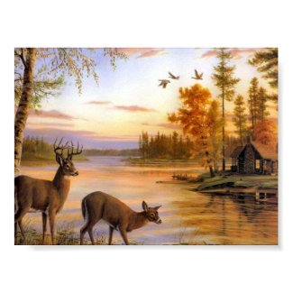 Deer At Lake print