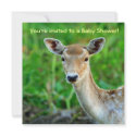 Deer Baby Shower Invitations by shellmart Deer Baby Shower Invitations