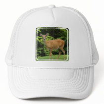 Deer Baseball Hat