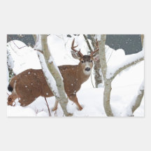 Deer Buck in Snow Rectangle Stickers