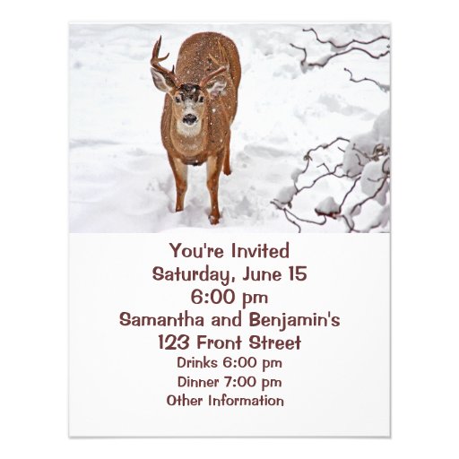 Deer Buck in Winter Snow Invite