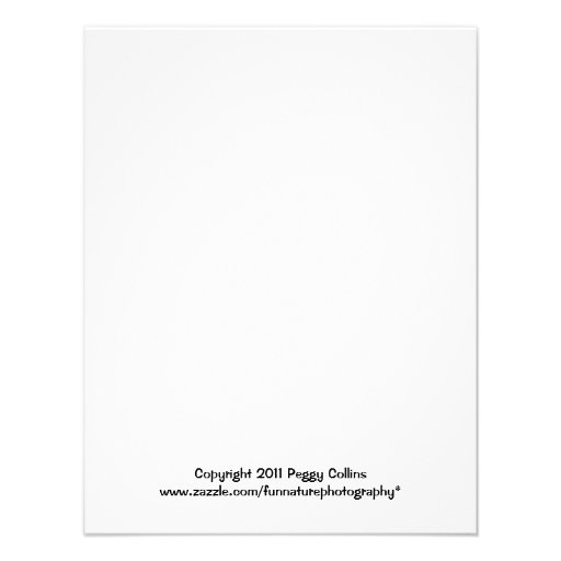 Deer Buck in Winter Snow Invite