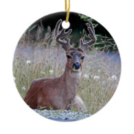 Deer Buck Lying Down Christmas Tree Ornaments