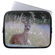 Deer Buck Lying Down Laptop Computer Sleeves