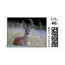 Deer Buck Lying Down Postage Stamps