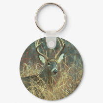 Deer / Buck / White-tailed Deer keychains