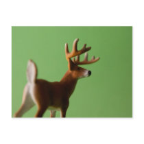 Deer Butt Postcard