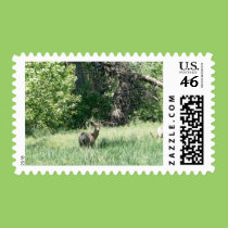 Deer by a River stamps