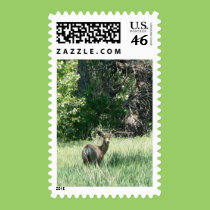 Deer by a River stamps