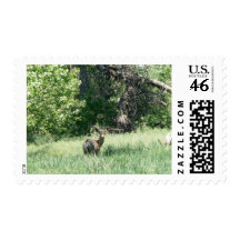 Deer by a River Postage
