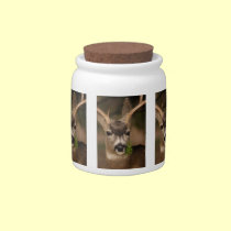 deer candy jars