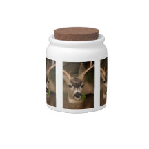 deer candy jars