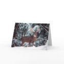 Deer Christmas Card