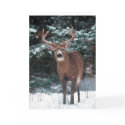 Deer Christmas Card by screwballgraphics Deer Christmas Card