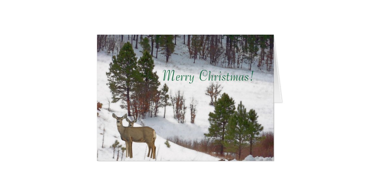 Deer Christmas Card | Zazzle