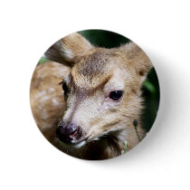 Deer Closeup Pins