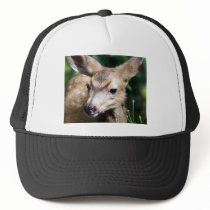 Deer Closeup Mesh Hat