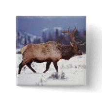 Deer Country buttons by MuseMagic Deer Country buttons