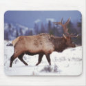 Deer Country mousepads