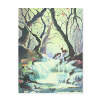 DEER CREEK by SHARON SHARPE Postcard by sharonsharpe