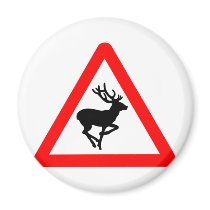 Deer Crossing Sign for Hunters magnets