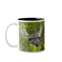 Deer, Deer Lover Gifts Mugs