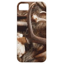 Deer Elk Moose Antlers Hunting Gift Ideas Hunters iPhone 5 Covers