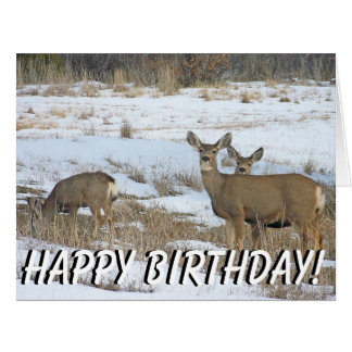 Whitetail Deer Birthday Cards, Whitetail Deer Birthday Card Templates ...