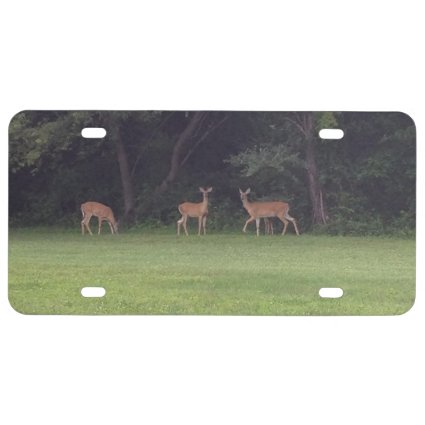 Deer Family License Plate