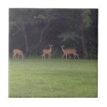 Deer Family Tiles