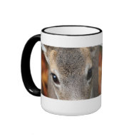 Deer Fawn Closeup Portrait Coffee Mugs
