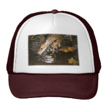Deer Fawn in a Creek Mesh Hats