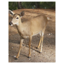 Deer Flyers