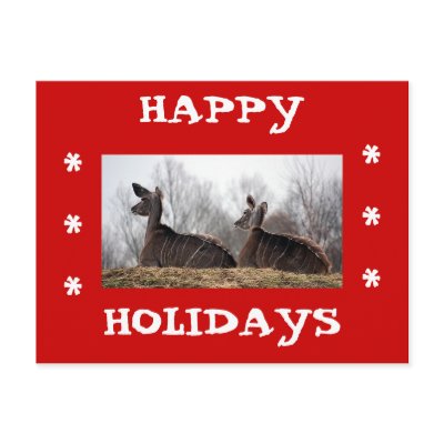Deer Friend, Happy Holidays Postcard by aarrickkah