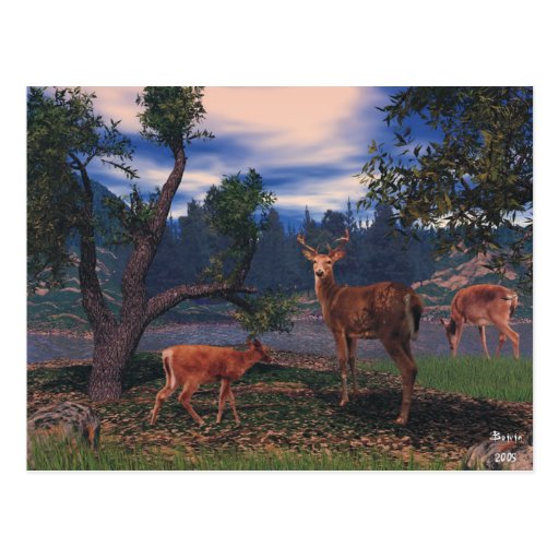 Deer Gathering Post Card