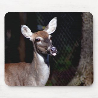 Deer Giving Raspberries Mouse Pad